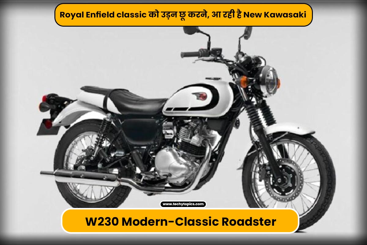 New Kawasaki W230 Modern-Classic Roadster